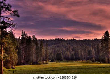 Pink clouds over a Sequoia forest around a grassy meadow.