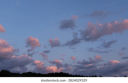 Pink clouds and small moon over dark forest horizon. A full moon shines brightly among colorful clouds illuminated by the setting sun above dark trees.
