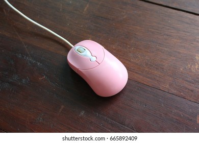 Shayla The Pink Mouse