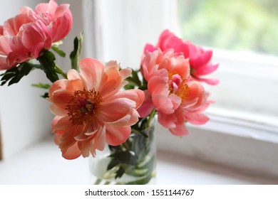 Pink And Coral Peonies On The Windowsill

