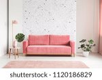 Pink couch between plant and lamp in bright living room interior with patterned wall. Real photo