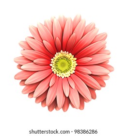 rosafarbene Blume einzeln auf weißem Hintergrund - 3D-Rendering