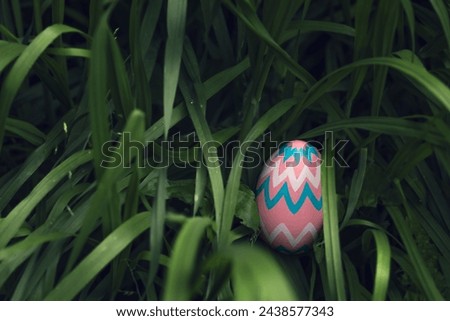 Pink decorated Easter Egg hidden tall grass found during Easter Egg hunt search.