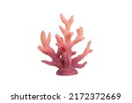Pink decorative coral isolated on white background. perspective view.