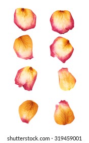 Pink Dried Rose Flower Petals Isolated Over The White Isolated Background