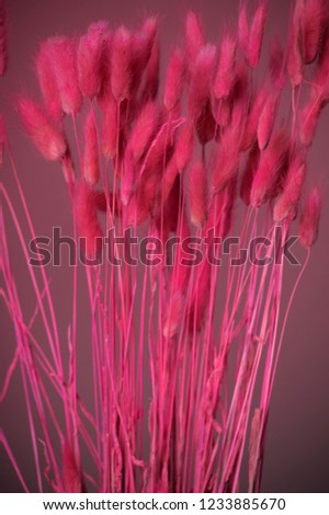 Similar – Spot on Flower Plant Stalk