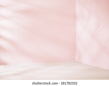 Pink Empty Room