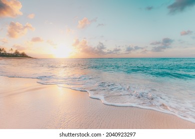 Pink Evening On The Beach