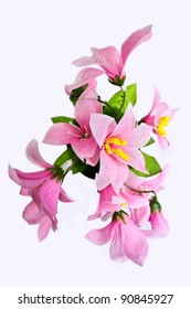 Pink Fake Flowers Is Isolated On A White (top View)