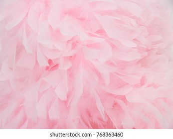 Pink Feather Boa