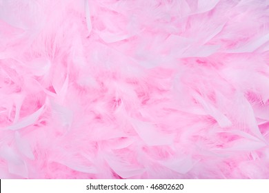 Pink Feather Boa Background