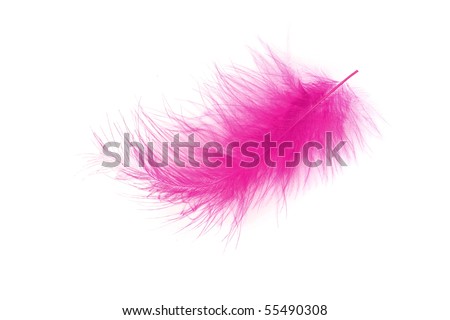 Pink feather over white background