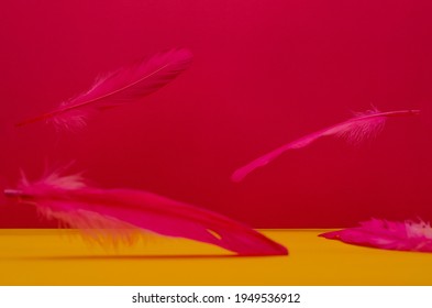 Pink Feathers Falling In The Air With Pink And Yellow Background