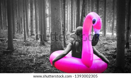 
pink flamingo got lost in the black forest