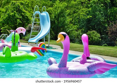 Pink Flamingo Inflatable Floating In A Backyard Swimming Pool