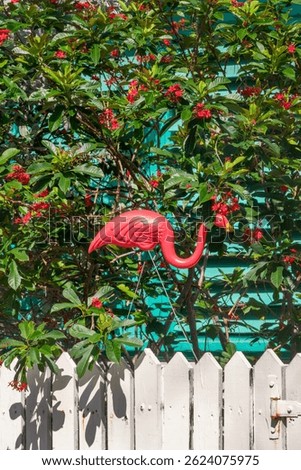Pink flamingo ornament decor statue in a tropical back yard garden in Key West, Florida