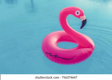 Pink flamingo in the pool