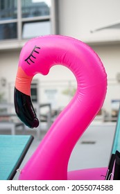 Pink Flamingo Pool Float By Pool