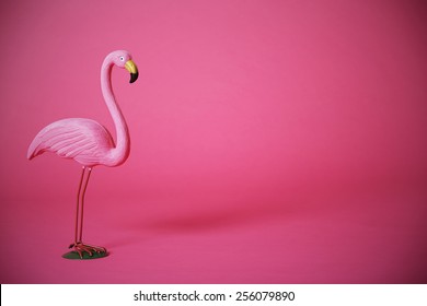  Pink Flamingo In Studio