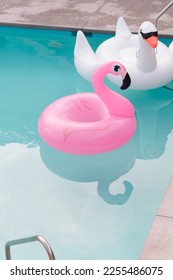Pink Flamingo and Swan Pool Floatie in a Swimming Pool At Palm Springs, California