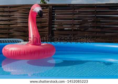 Pink Flamingo in Swimmingpool Garden