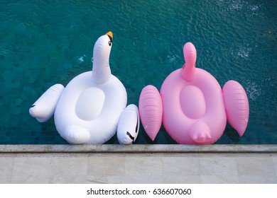 A Pink Flamingo And White Swan Pool Float Are Floating In The Pool.