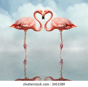 pink flamingos making a heart shape in reflection pond - Powered by Shutterstock