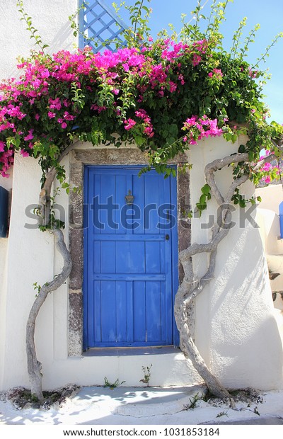 青い王室のクラシックドアの上にピンクの花のツタ ギリシャの古典的な青いドアサイト の写真素材 今すぐ編集