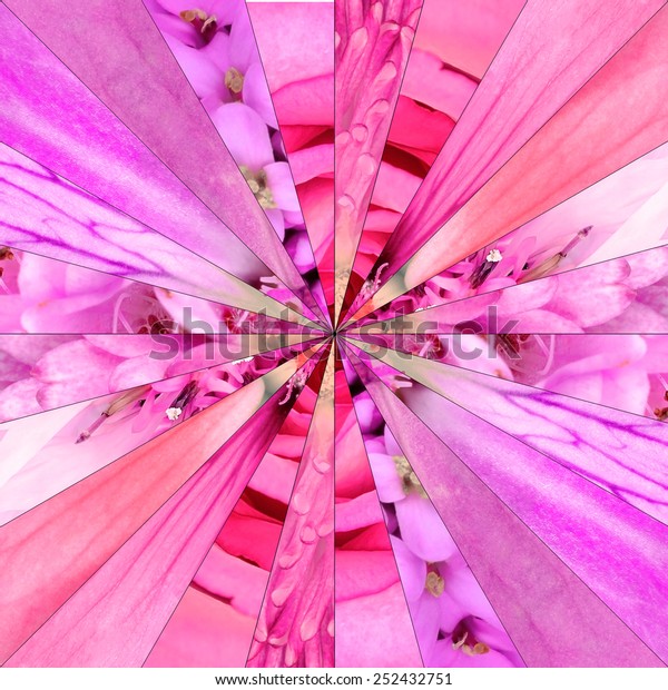 Pink Flower Center Symmetric Collage Made of\
Collection of Various Wildflowers. Pieces are Seamlessly Divided\
into 24 Symmetric pieces.