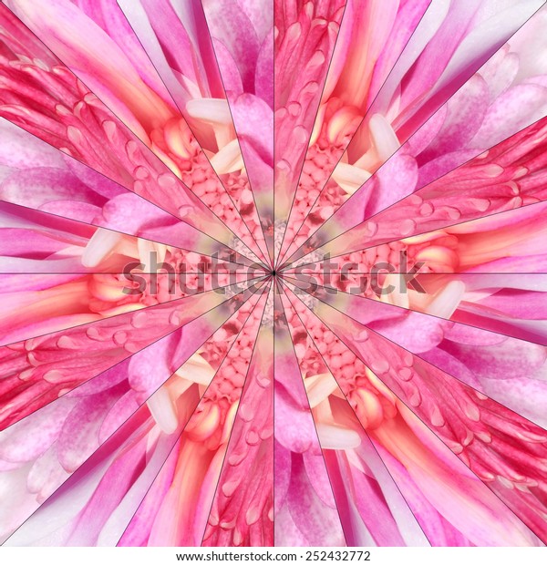 Pink Flower Center Symmetric Collage Made of\
Collection of Various Wildflowers. Pieces are Seamlessly Divided\
into 24 Symmetric pieces.