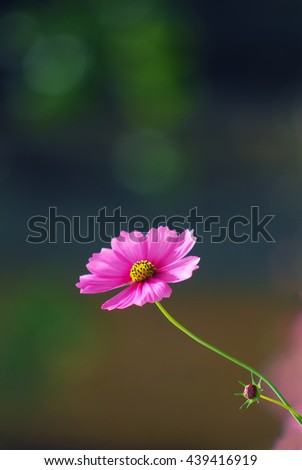 Similar – Image, Stock Photo momentariness Colour photo