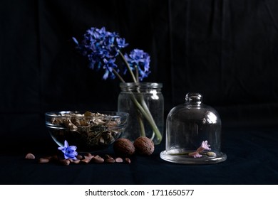 
Pink Flower In A Glass Case And Nuts. On The Background Are Blue Flowers In A Glass Jar.