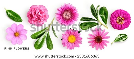 Pink flower and green bay leaves collection. Gerbera, echinacea, aster, zinnia, cosmos and rose flowers set isolated on white background. Design element. Top view, flat lay 
