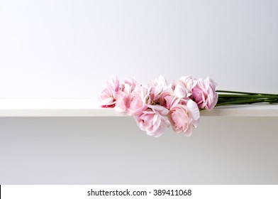 Pink Flower On The Shelf