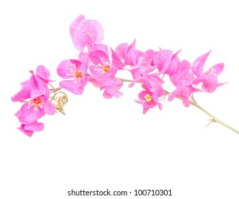 Flower Chain Images, Stock Photos & Vectors | Shutterstock