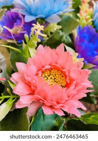 Pink flower wallpaper image hd