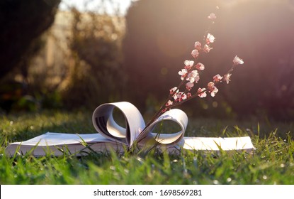 Pink Flowering Apricot Twig On An Open Book, Which Lies On The Bright Green Spring Grass, Beautiful Sunny Backlighting. Home Schooling, Relaxation In Nature, Reading Books During The Quarantine Period