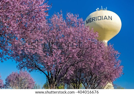 Pink flowering trees and yellow water tower in Meridian Idaho