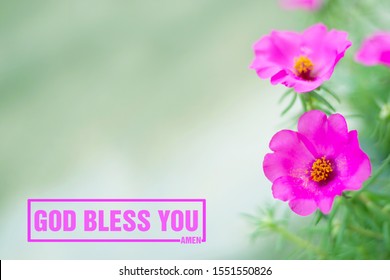 Pink Flowers Beautiful Words God Bless Stock Photo 1551550826 ...