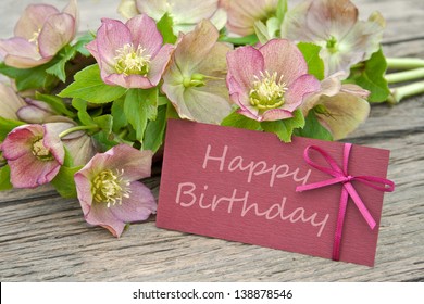 pink flowers with birthday card/birthday card/Christmas Rose