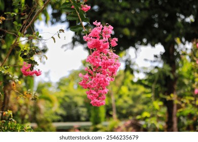 Pink flowers blooming on a branch with a lush green background in a sunlit garden, showcasing natural beauty and vibrant color - Powered by Shutterstock