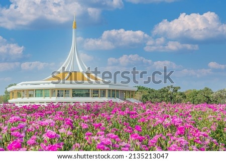 Pink flowers field with blue sky as Suanluang RAMA IX public park, Bangkok, Thailand
