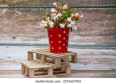 Pink Flowers Inside A Red Metal Bucket With White Polka Dots On A Wooden Pallet. Wild Flowers. Home Decor.