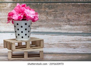 Pink Flowers Inside A White Metal Bucket With Black Polka Dots On A Wooden Pallet. Wild Flowers. Home Decor.