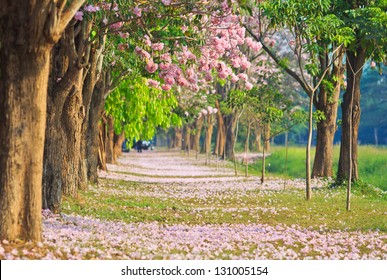 nature landscape images stock photos vectors shutterstock