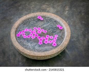 Pink Flowers In A Zen Bowl. Focus On Phlox Petals Floating In A Granite Water Feature, With Matte Grey Floor Background.