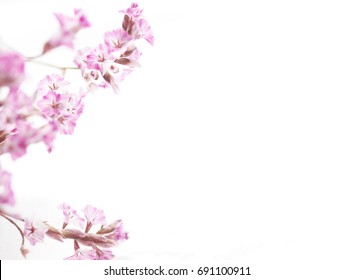 Pink Flowery Frame On White Background. Pink Flowers Isolated On White. Copy Space