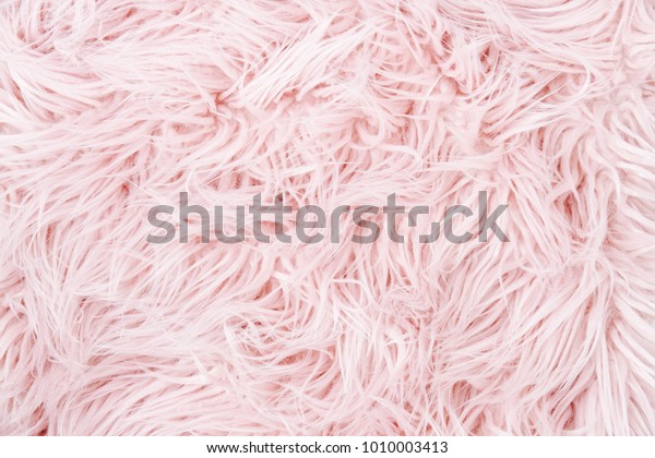 Pink fluffy\
fur background.  Flat lay, top\
view