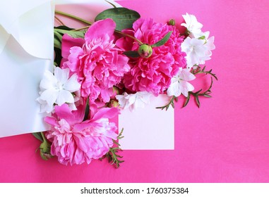 Pink frame framed with peonies. Bright summer bouquet. Background for greeting cards, invitations.