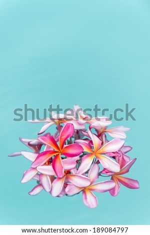 Similar – Image, Stock Photo tulip leaves Leaf Faded